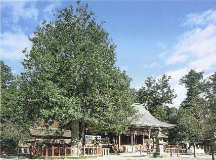 塩釜神社の自然環境