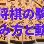 将棋 駒 読み方